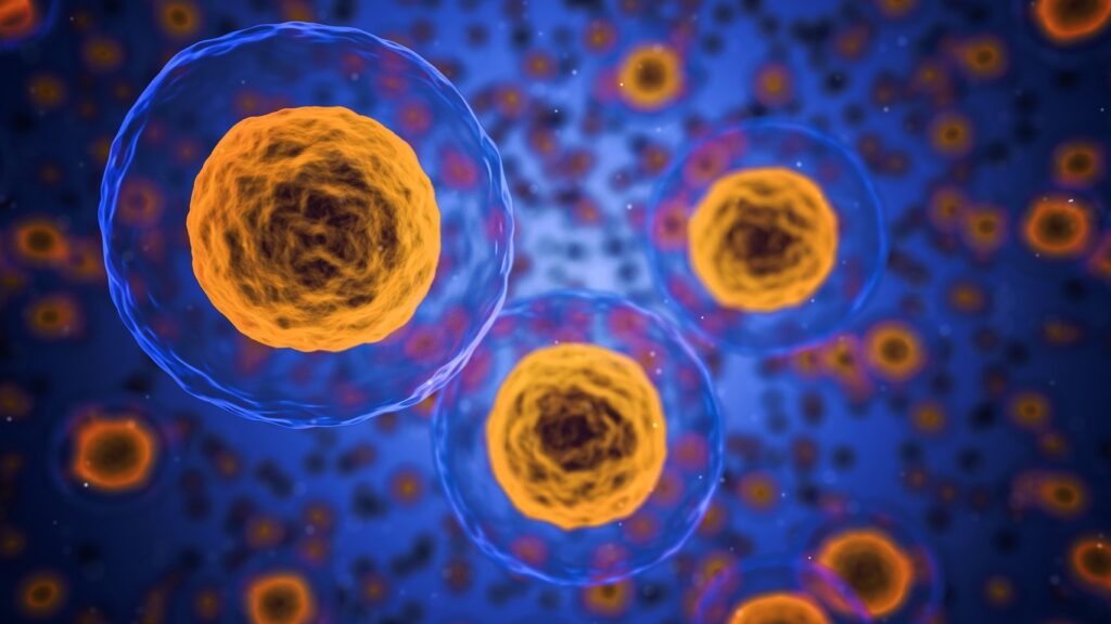 As células sofrem diversos estímulos que culminam em alterações celulares e moleculares