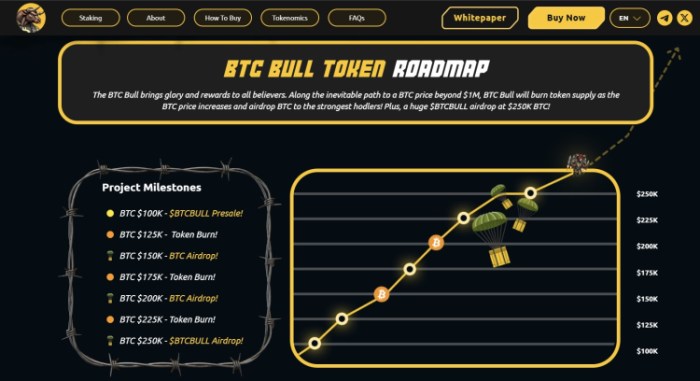 Roteiro de token BTC Bull